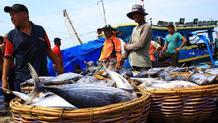 DPR Minta KKP Tindaklanjuti Isu Pajak Penangkapan Ikan