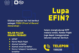 Lupa Kode EFIN? Ini Cara Mendapatkannya Kembali